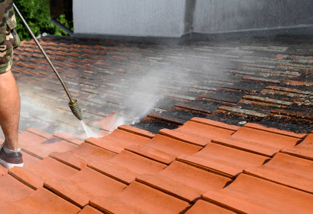 Pressure Washing Brick in Atascocita, TX