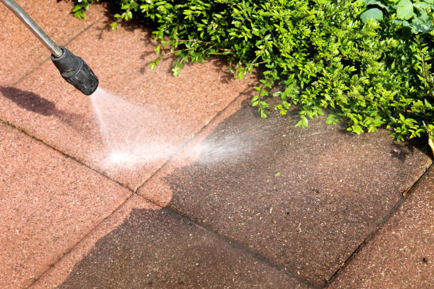 Best Commercial Building Pressure Washing  in Atascocita, TX